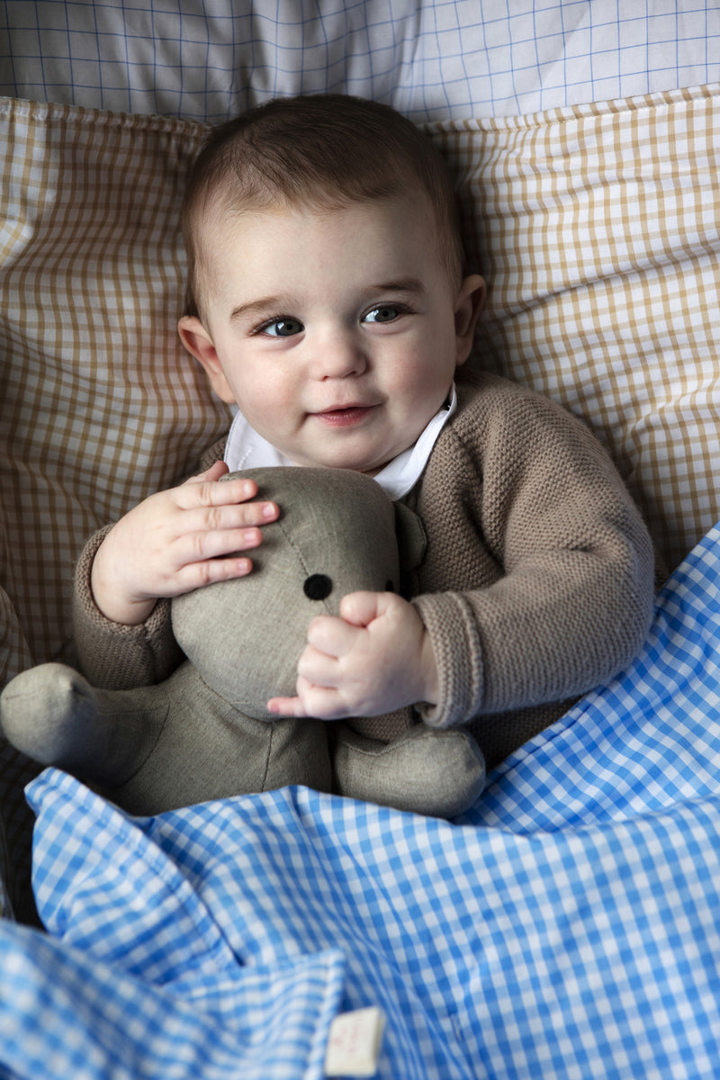 Teddy Bear in Toile Cotton